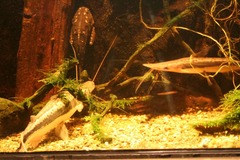 Killikus&reg; Fotographie