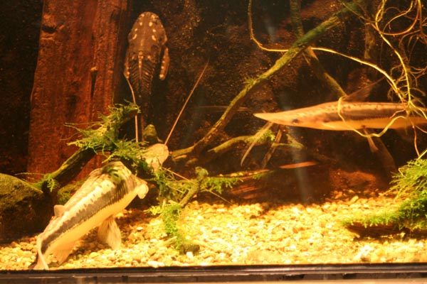 Killikus&reg; Fotographie