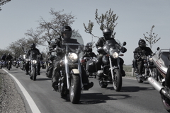 Killikus&reg; Fotographie