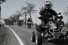 Killikus&reg; Fotographie