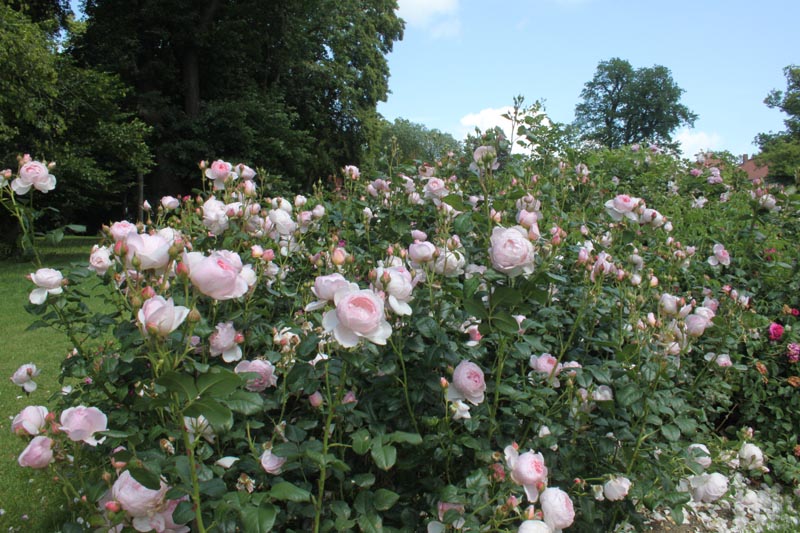 Killikus® Fotographie Killikus® Fotographie