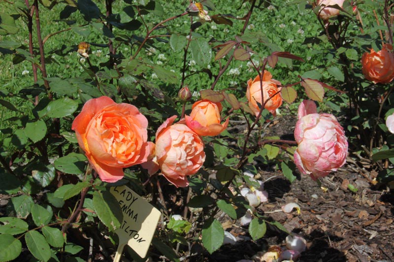 Killikus® Fotographie Killikus® Fotographie