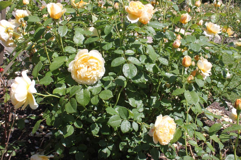 Killikus&reg; Fotographie