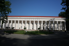 Killikus&reg; Fotographie