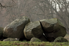 Killikus&reg; Fotographie