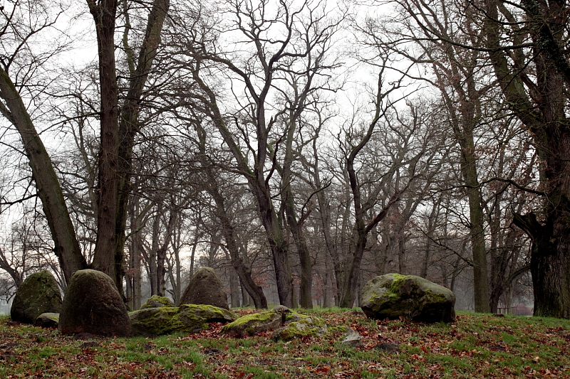 Killikus&reg; Fotographie