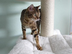 Killikus&reg; Fotographie