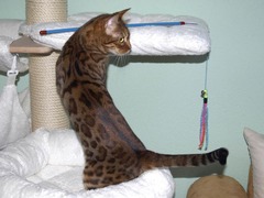 Killikus&reg; Fotographie