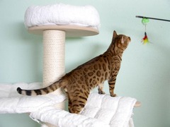 Killikus&reg; Fotographie