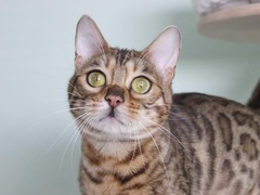 Killikus&reg; Fotographie