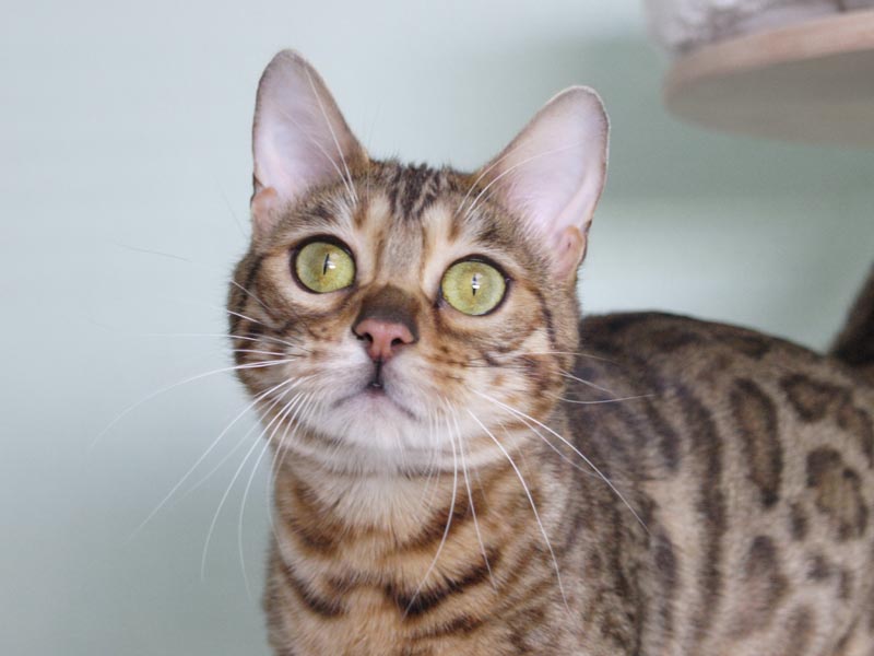 Killikus® Fotographie Killikus® Fotographie