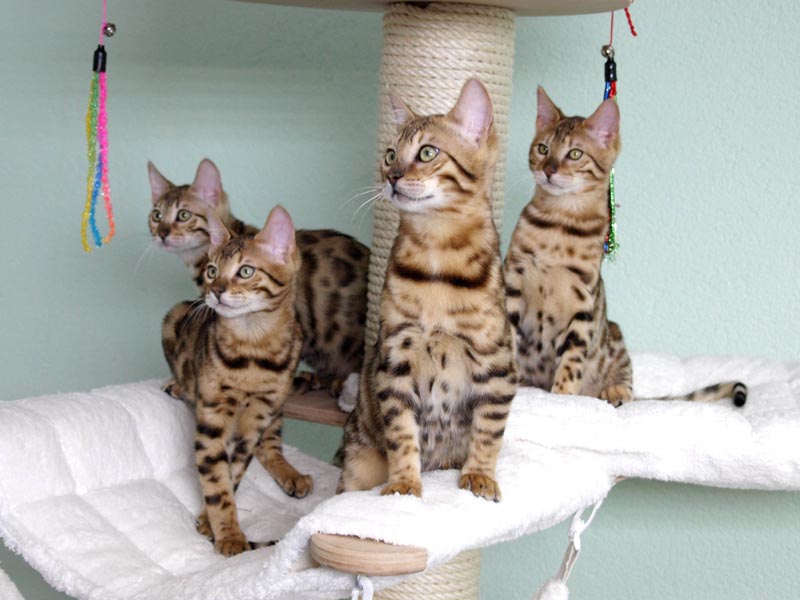 Killikus&reg; Fotographie