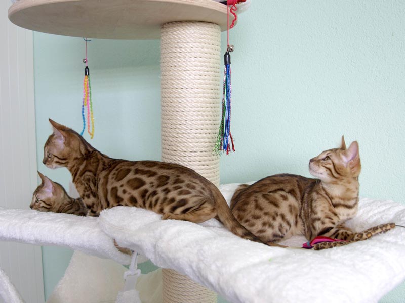 Killikus&reg; Fotographie