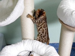 Killikus&reg; Fotographie