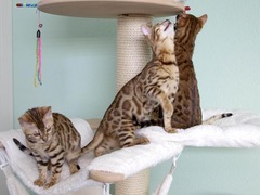 Killikus&reg; Fotographie