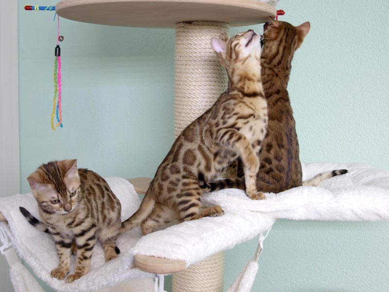 Killikus® Fotographie Killikus® Fotographie