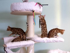 Killikus&reg; Fotographie