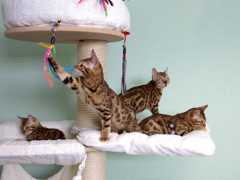 Killikus&reg; Fotographie