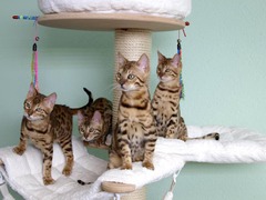 Killikus&reg; Fotographie