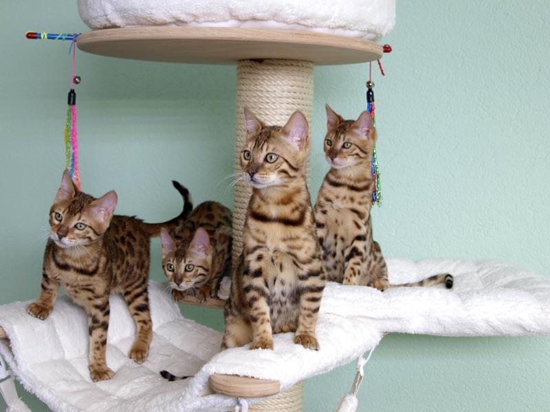 Killikus&reg; Fotographie