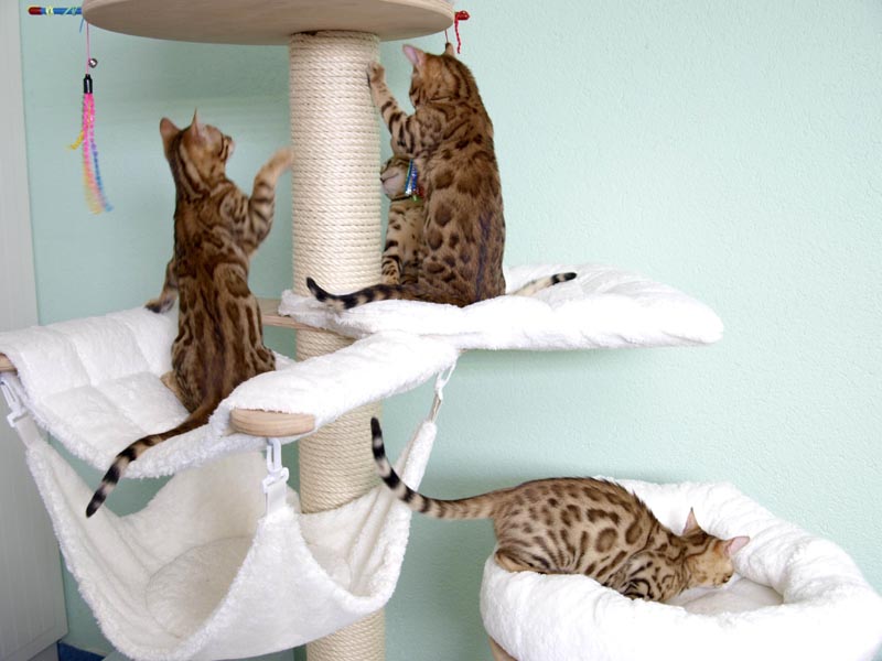 Killikus® Fotographie Killikus® Fotographie