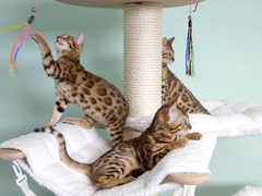 Killikus&reg; Fotographie