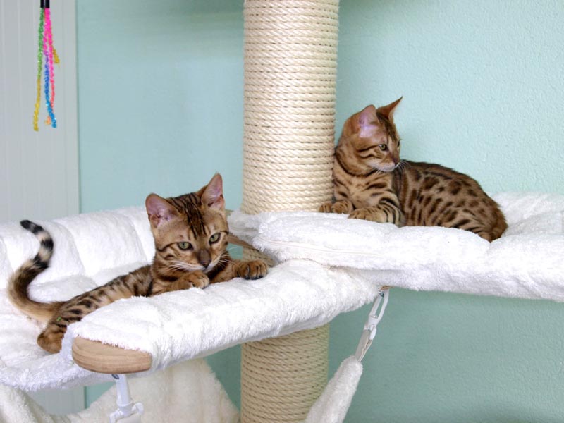 Killikus® Fotographie Killikus® Fotographie