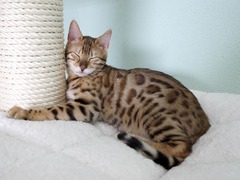 Killikus&reg; Fotographie