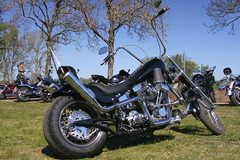 Killikus&reg; Fotographie