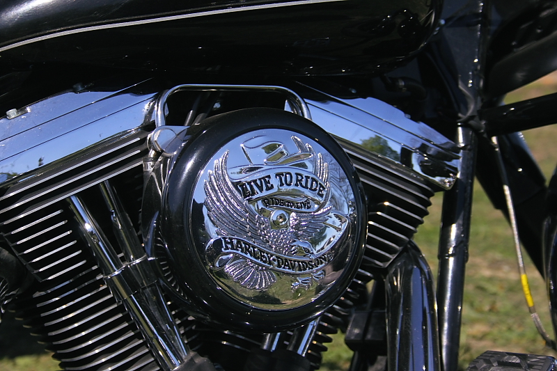 Killikus&reg; Fotographie