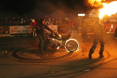 Killikus&reg; Fotographie