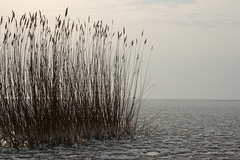 Killikus&reg; Fotographie