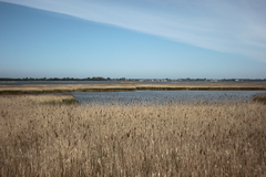 Killikus&reg; Fotographie