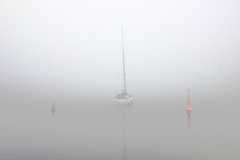 Killikus&reg; Fotographie