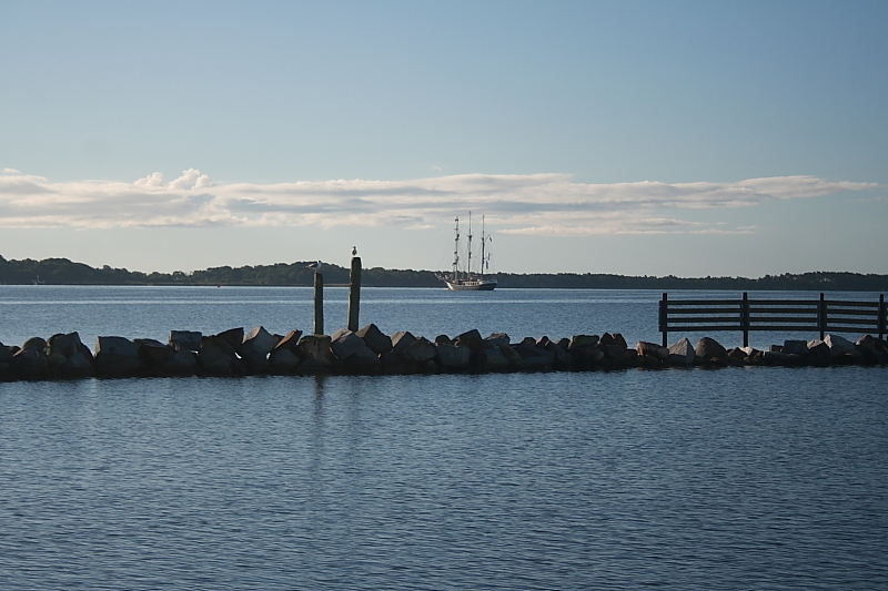 Killikus® Fotographie Killikus® Fotographie