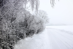 Killikus&reg; Fotographie