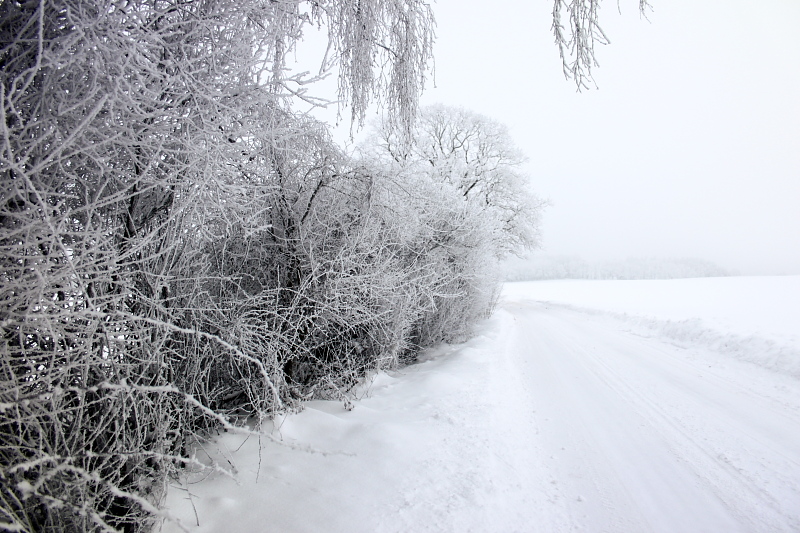 Killikus® Fotographie Killikus® Fotographie