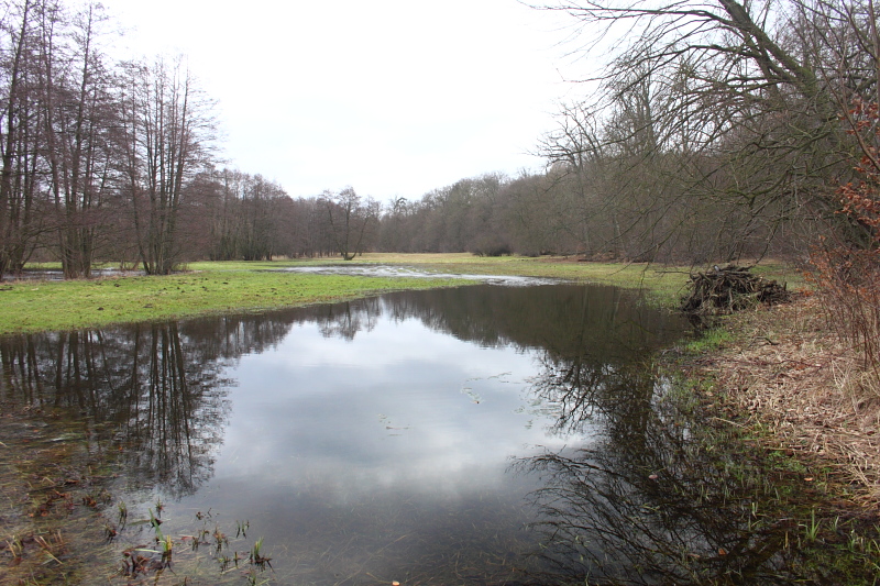 Killikus® Fotographie Killikus® Fotographie