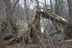 Killikus&reg; Fotographie