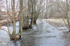 Killikus&reg; Fotographie