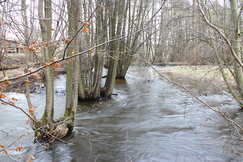 Killikus® Fotographie Killikus® Fotographie