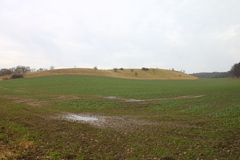 Killikus&reg; Fotographie