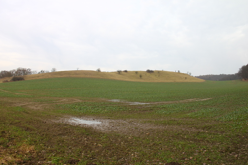 Killikus® Fotographie Killikus® Fotographie