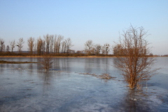 Killikus&reg; Fotographie