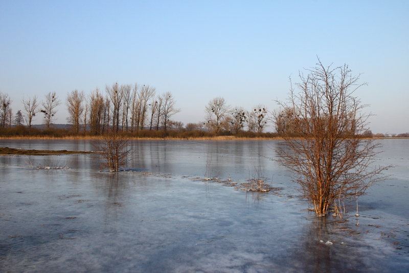 Killikus® Fotographie Killikus® Fotographie