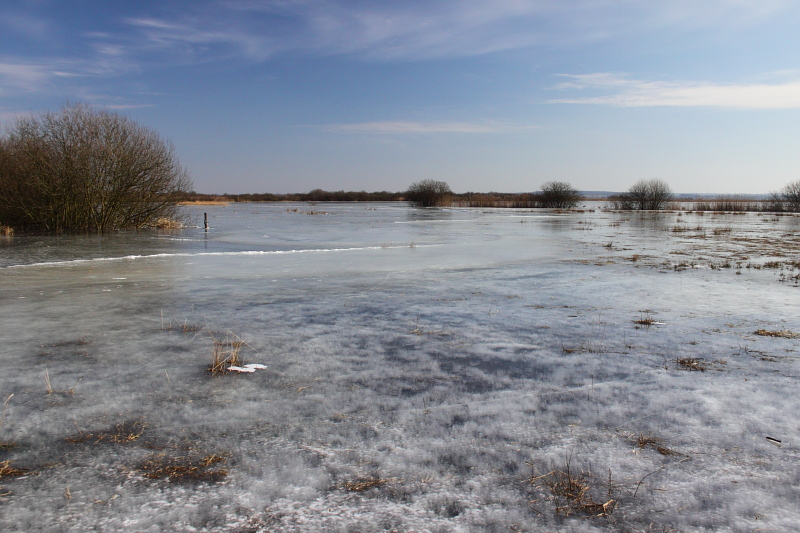 Killikus&reg; Fotographie