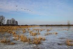 Killikus&reg; Fotographie