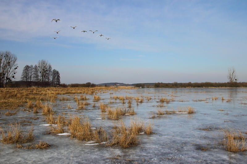 Killikus&reg; Fotographie