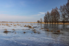 Killikus&reg; Fotographie