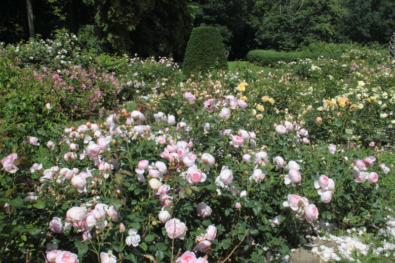 Killikus&reg; Fotographie